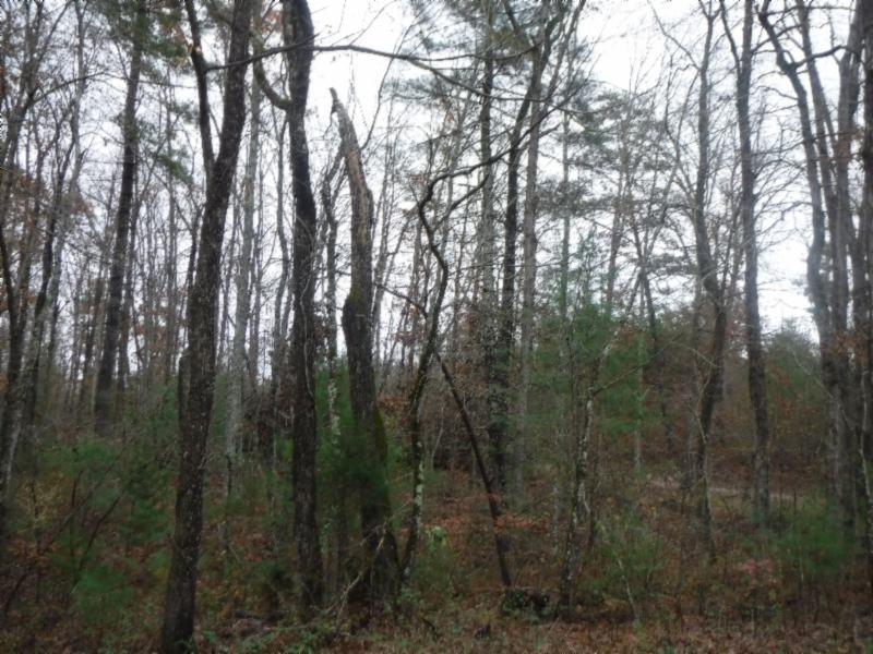 85.60-ac Twin Bridge Road Deer Lodge, TN 37726 - Photo 14 of 35 11142018 019