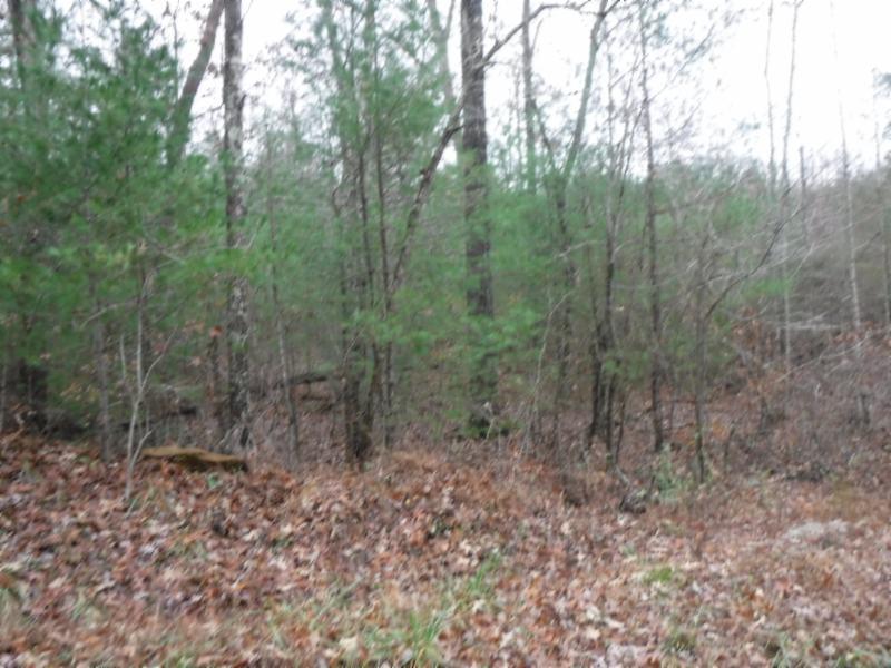 85.60-ac Twin Bridge Road Deer Lodge, TN 37726 - Photo 3 of 35 11142018 003