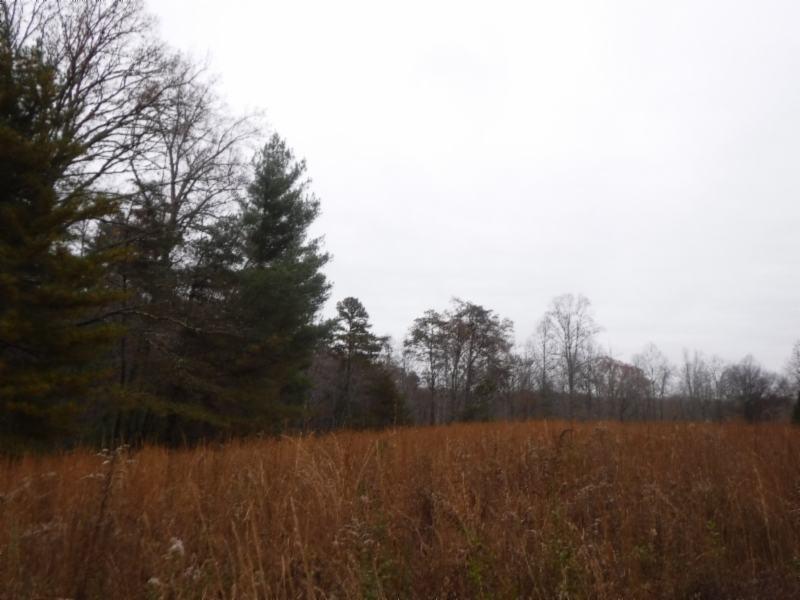 85.60-ac Twin Bridge Road Deer Lodge, TN 37726 - Photo 21 of 35 11142018 030