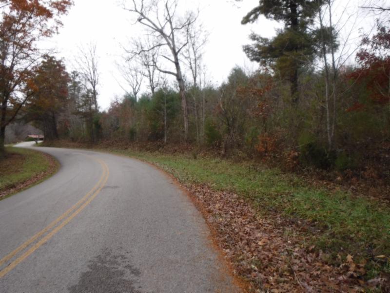 85.60-ac Twin Bridge Road Deer Lodge, TN 37726 - Photo 22 of 35 11142018 032