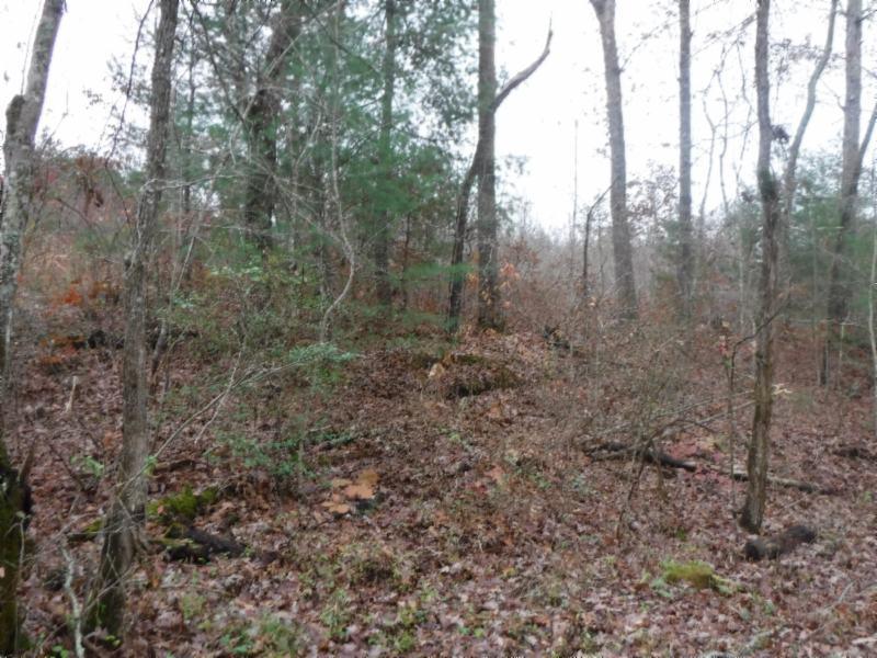 85.60-ac Twin Bridge Road Deer Lodge, TN 37726 - Photo 31 of 35 11142018 050
