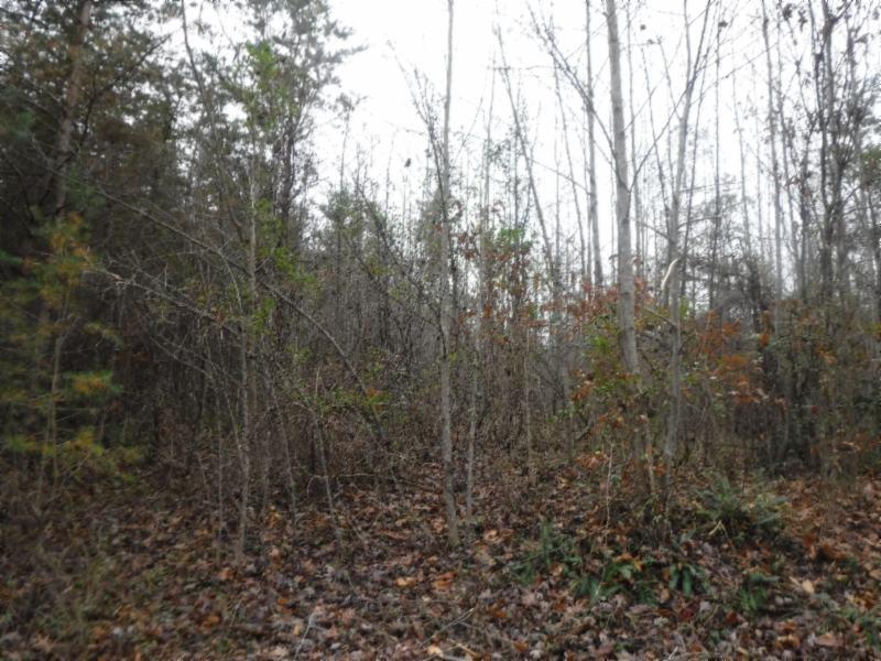 85.60-ac Twin Bridge Road Deer Lodge, TN 37726 - Photo 5 of 35 11142018 005