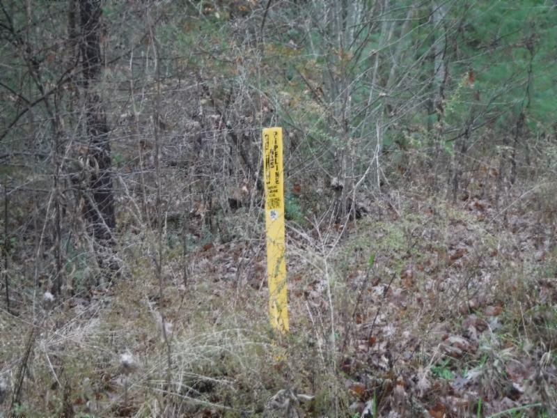 85.60-ac Twin Bridge Road Deer Lodge, TN 37726 - Photo 7 of 35 11142018 008