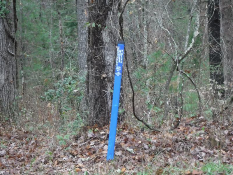85.60-ac Twin Bridge Road Deer Lodge, TN 37726 - Photo 8 of 35 11142018 009
