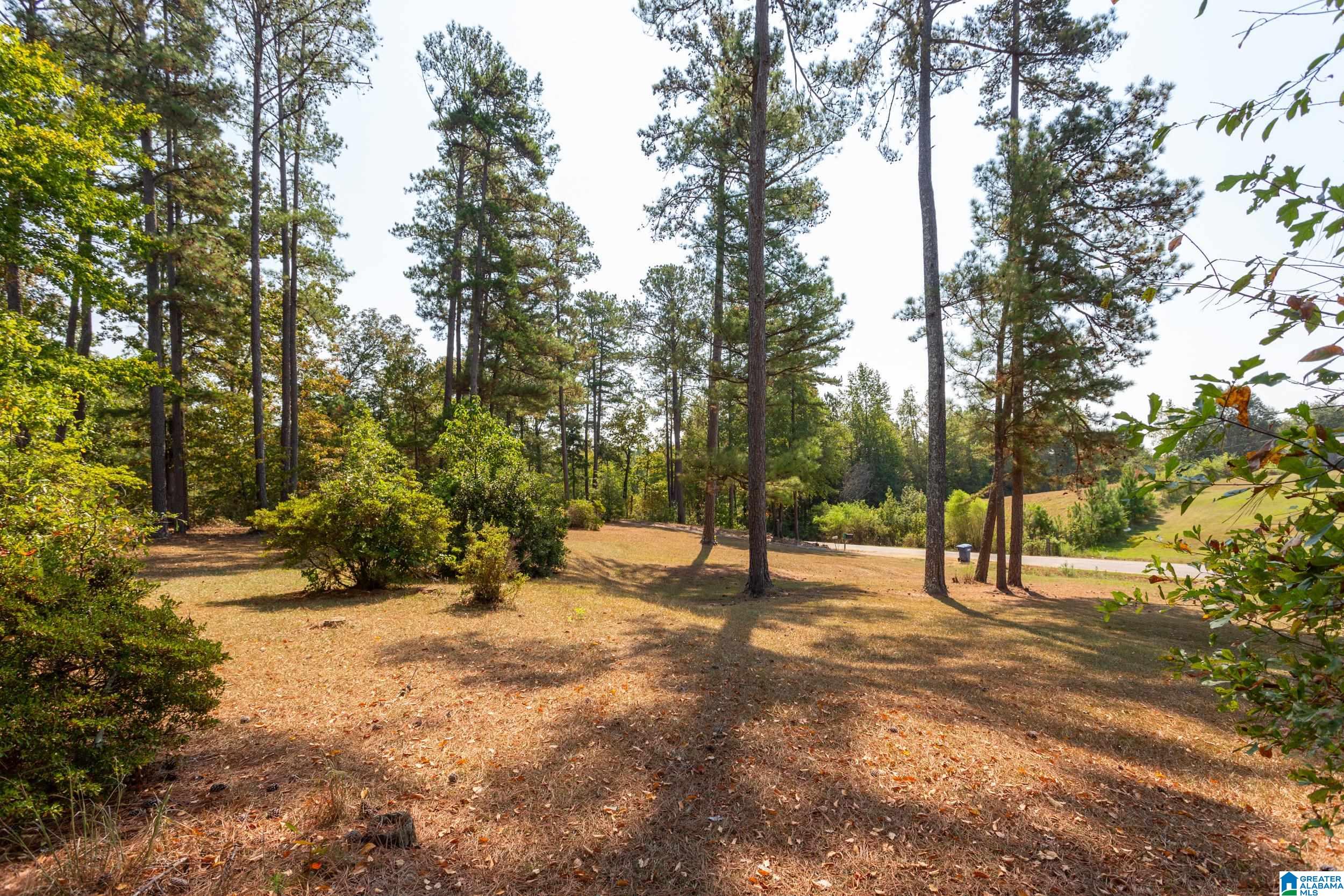 373 Meeks Road Wellington, AL 36279 - Photo 4 of 35