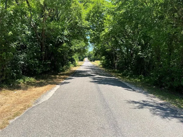 a view of a road with a trees
