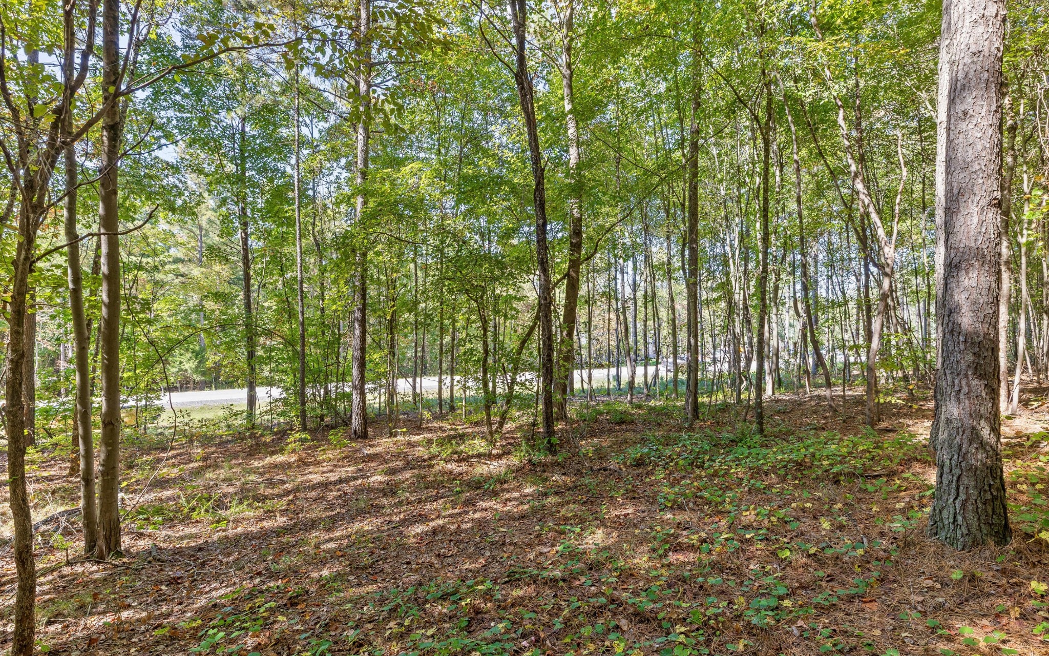 1110 Birds Eye Way Guild, TN 37340 - Photo 18 of 29 Gallery Image 18