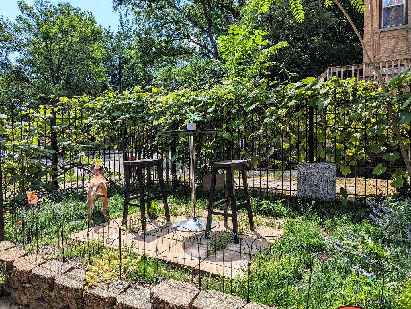 724 South Oakley Boulevard, Unit 1 Chicago, IL 60612 - Photo 2 of 22 a view of a backyard