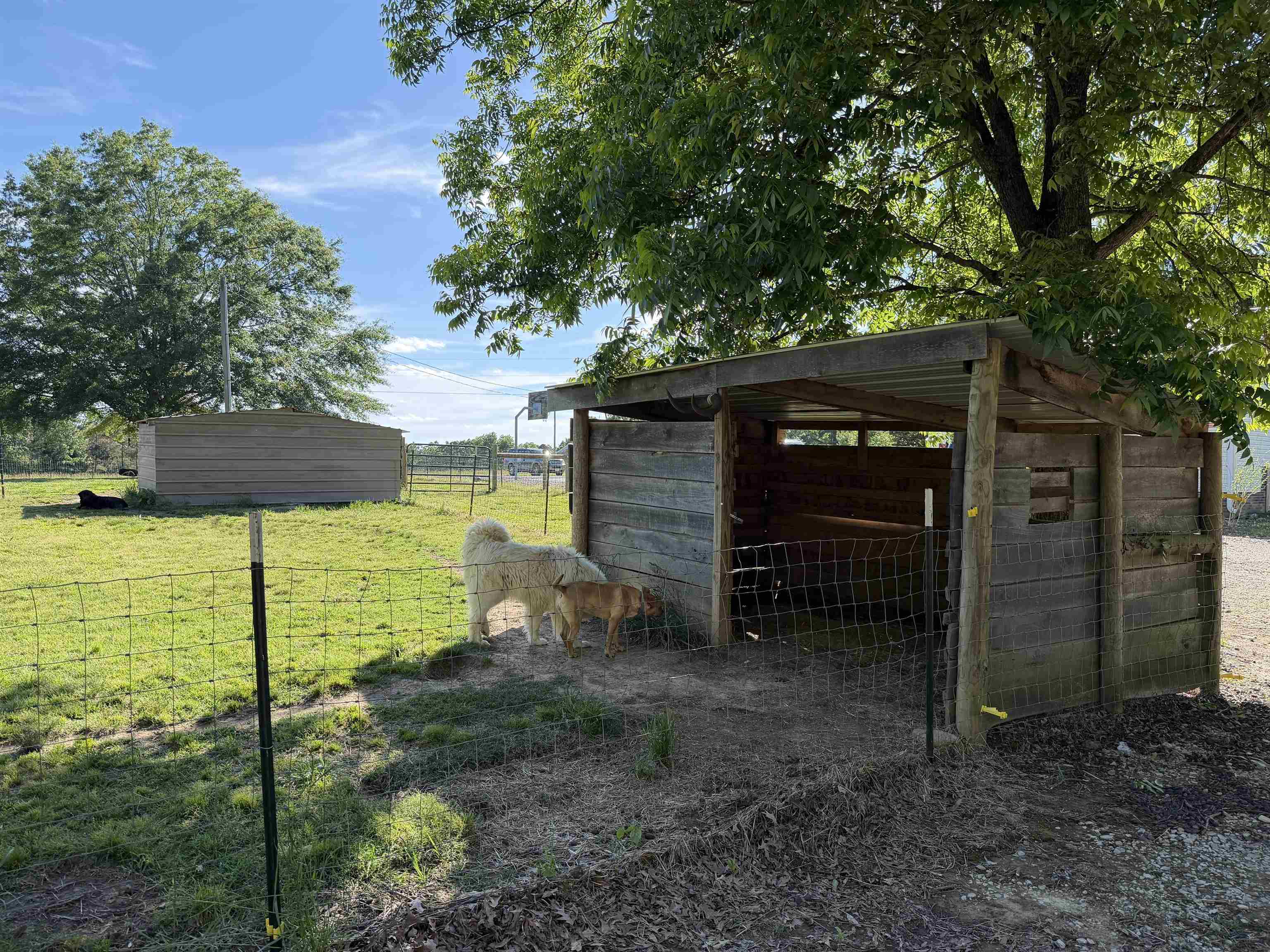 1120 Jot Em Down Road Morris Chapel, TN 38361 - Photo 34 of 40