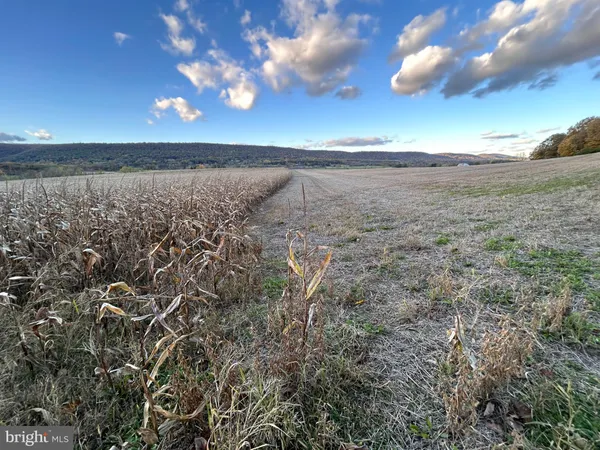 a view of beach and sunset
