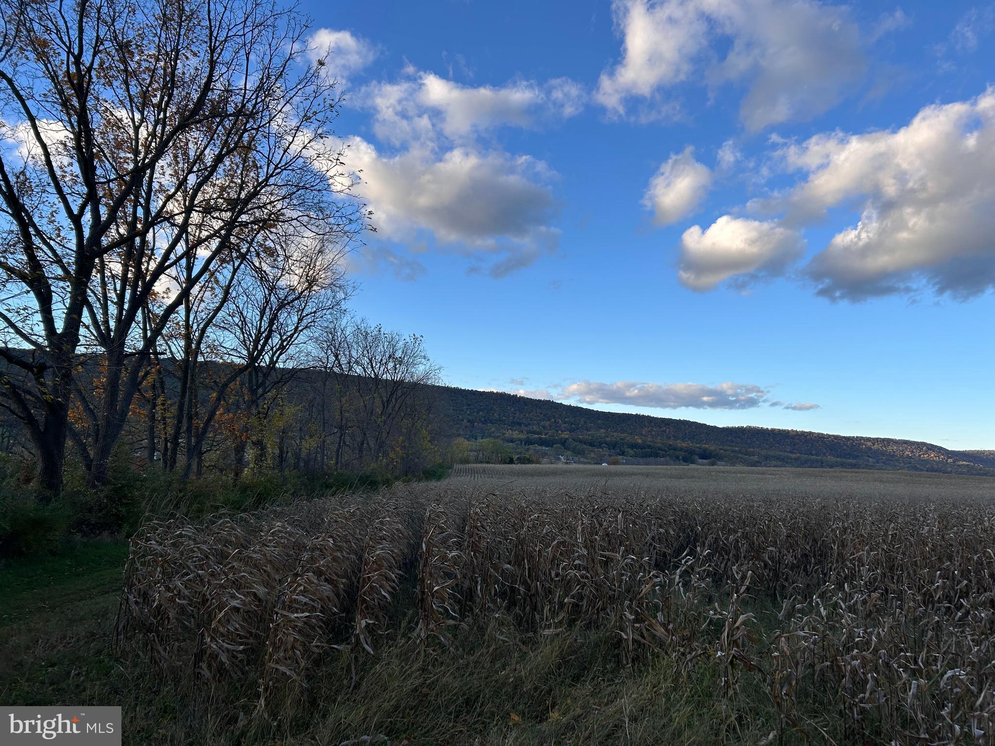 Lot #2 Linden Hall Road Boalsburg, PA 16827 - Photo 12 of 26 a view of a yard and mountain view