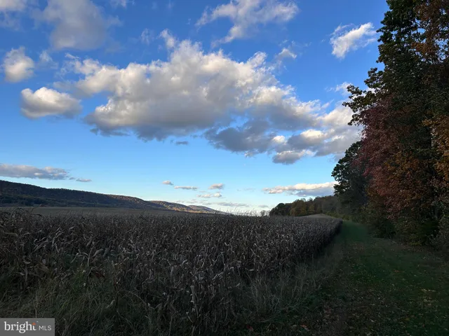 a big yard with lots of green space