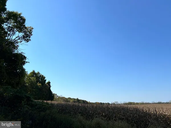 a view of a green yard