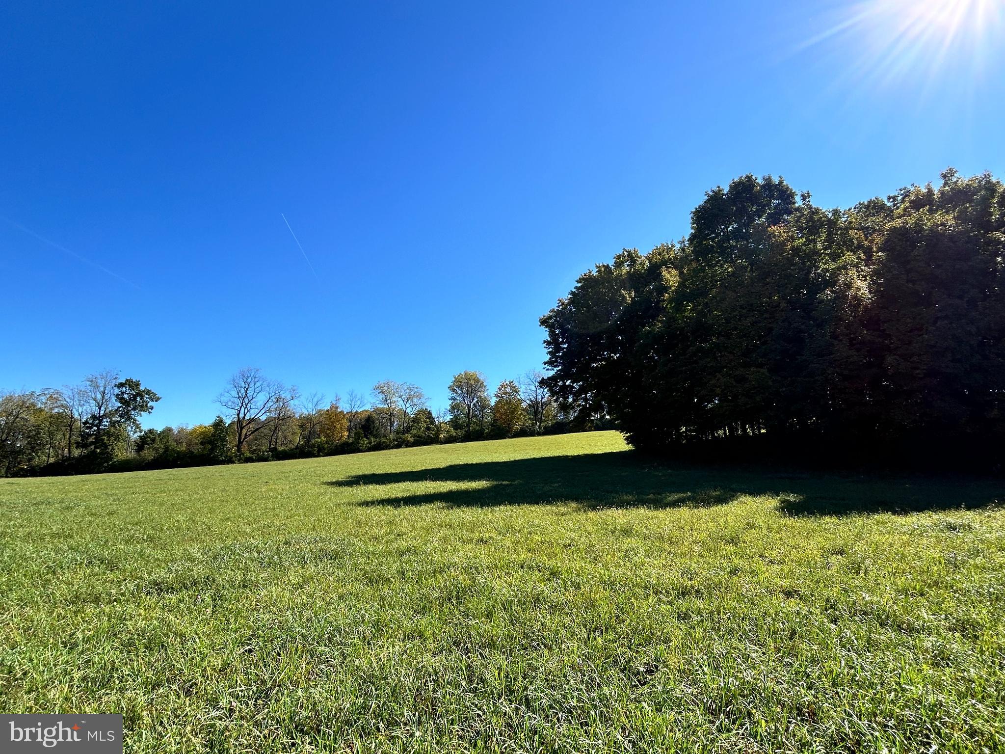 Lot #2 Linden Hall Road Boalsburg, PA 16827 - Photo 16 of 26 a view of a green yard