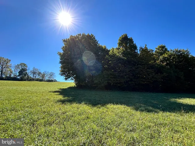 a view of an ocean from a yard