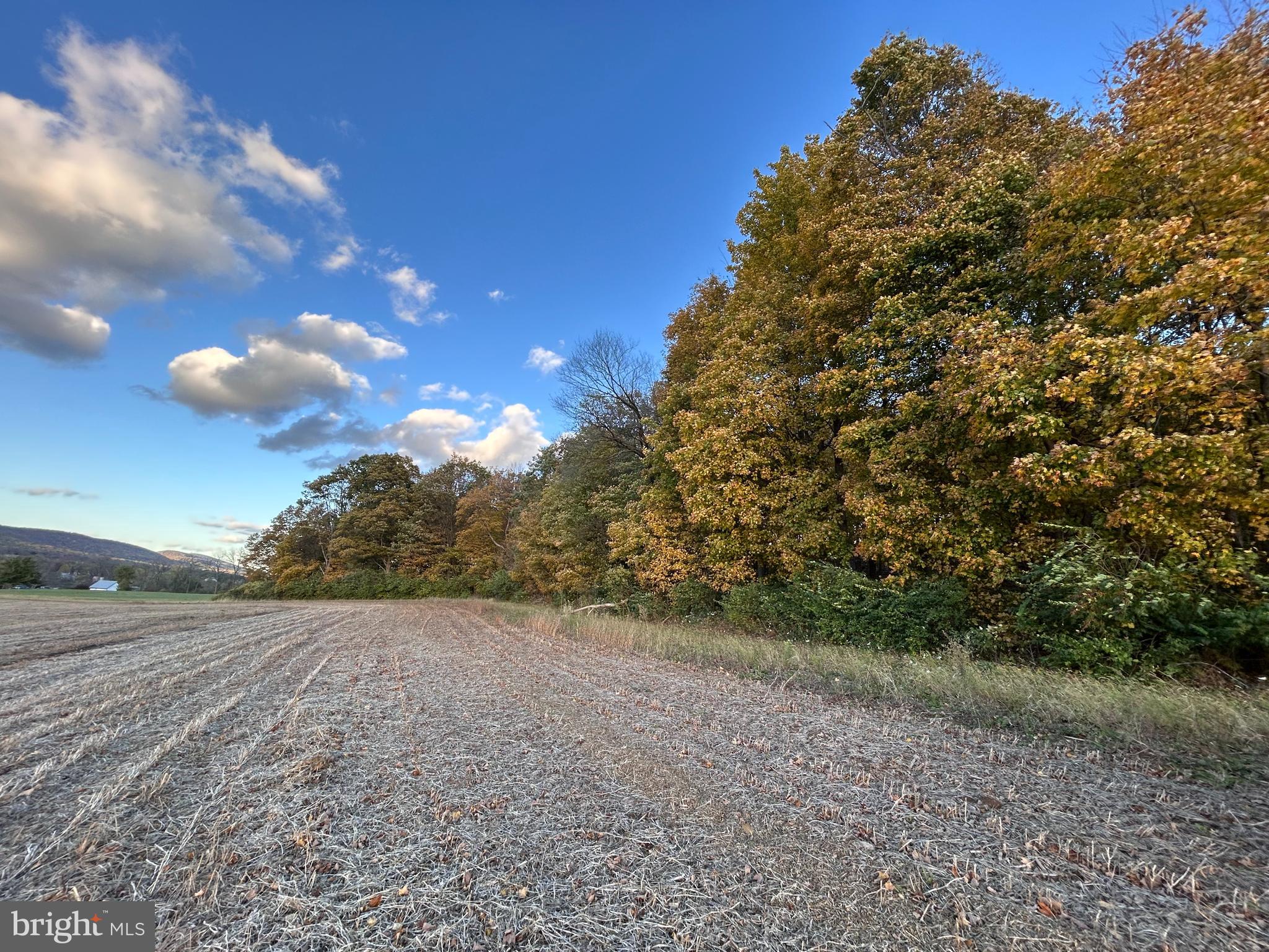 Lot #2 Linden Hall Road Boalsburg, PA 16827 - Photo 2 of 26 a view of a field with a view of trees
