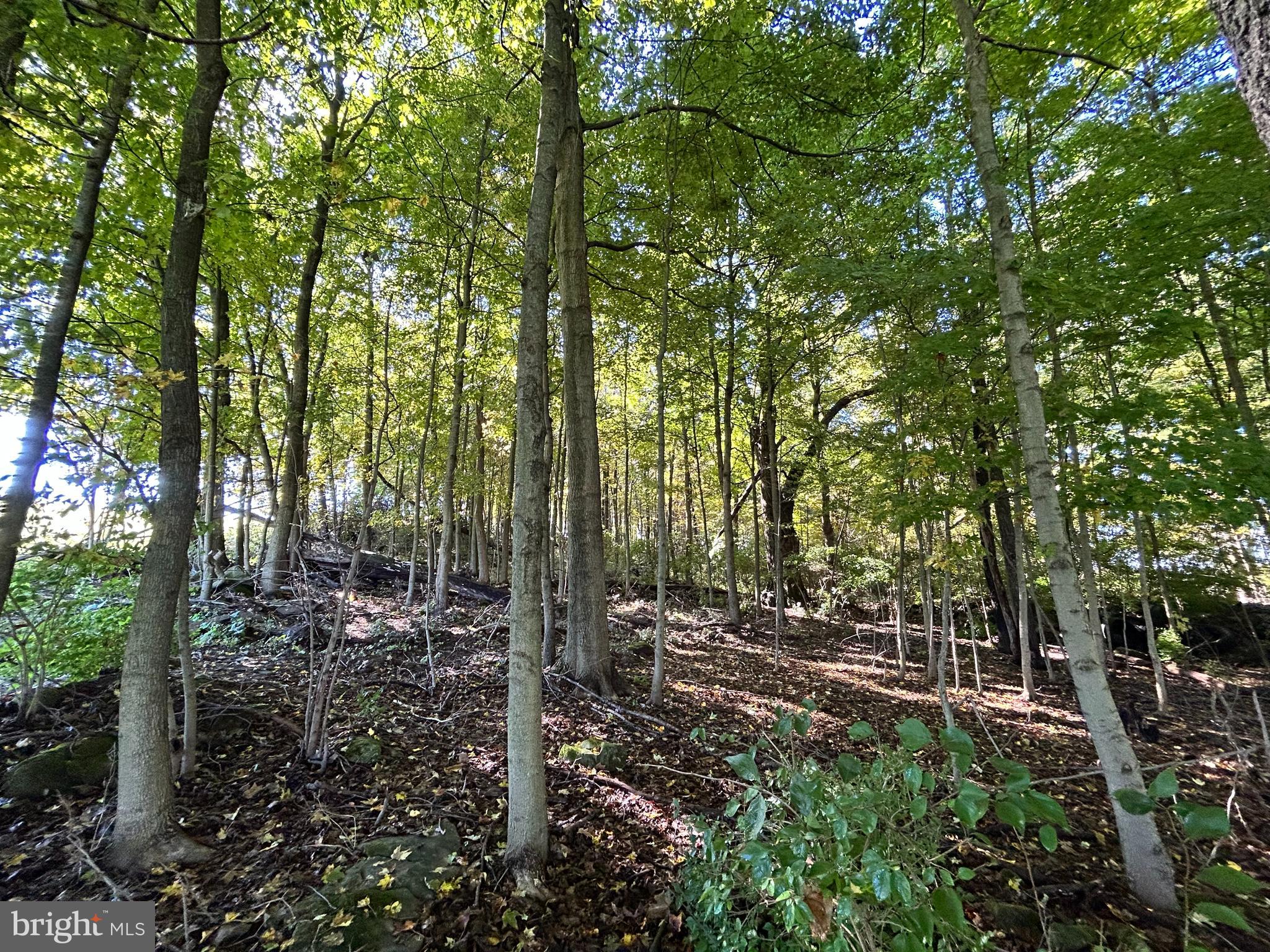 Lot #2 Linden Hall Road Boalsburg, PA 16827 - Photo 22 of 26 a view of outdoor space and green space