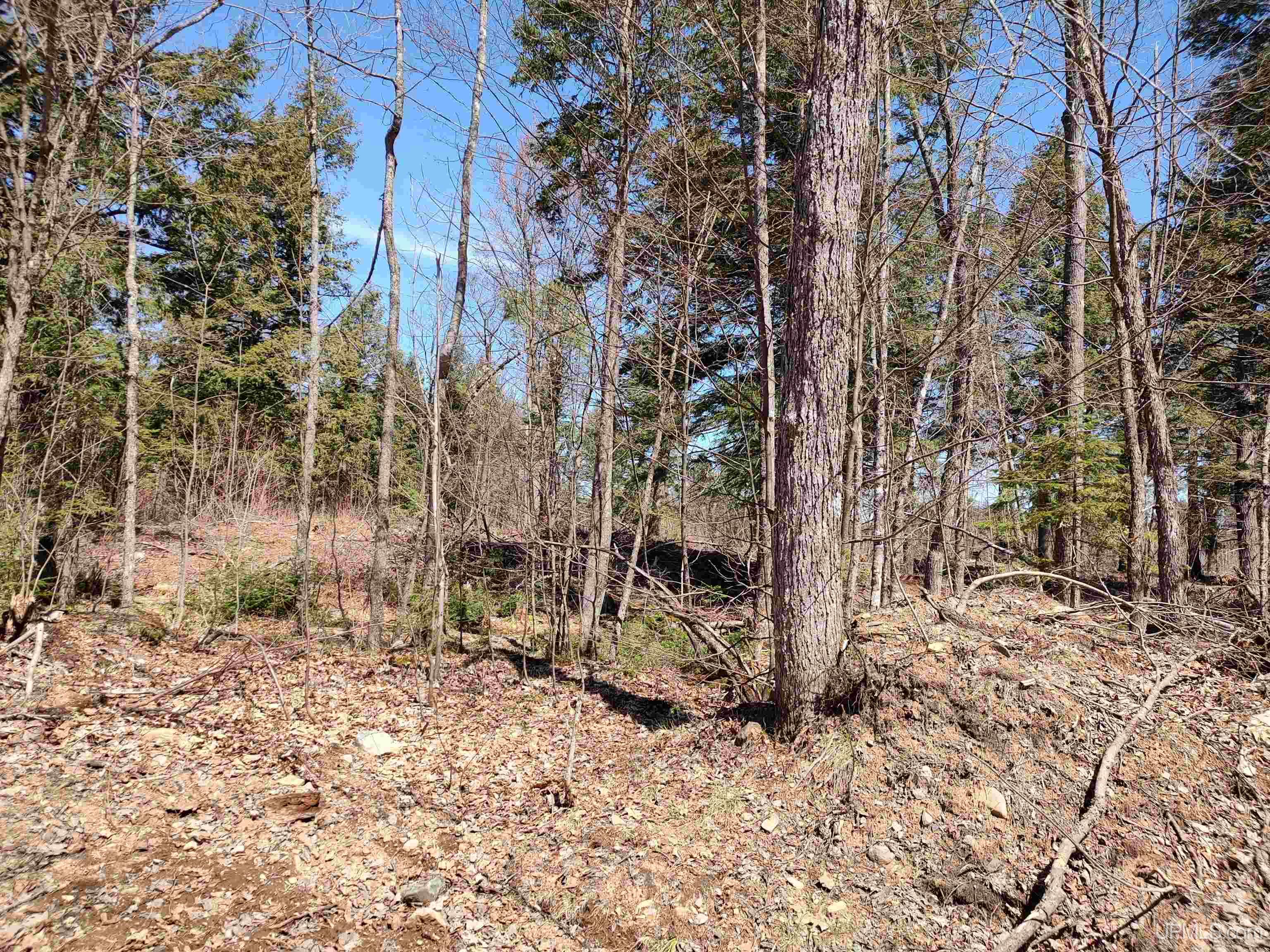 Tbd Black Creek Road Skanee, MI 49962 - Photo 7 of 13