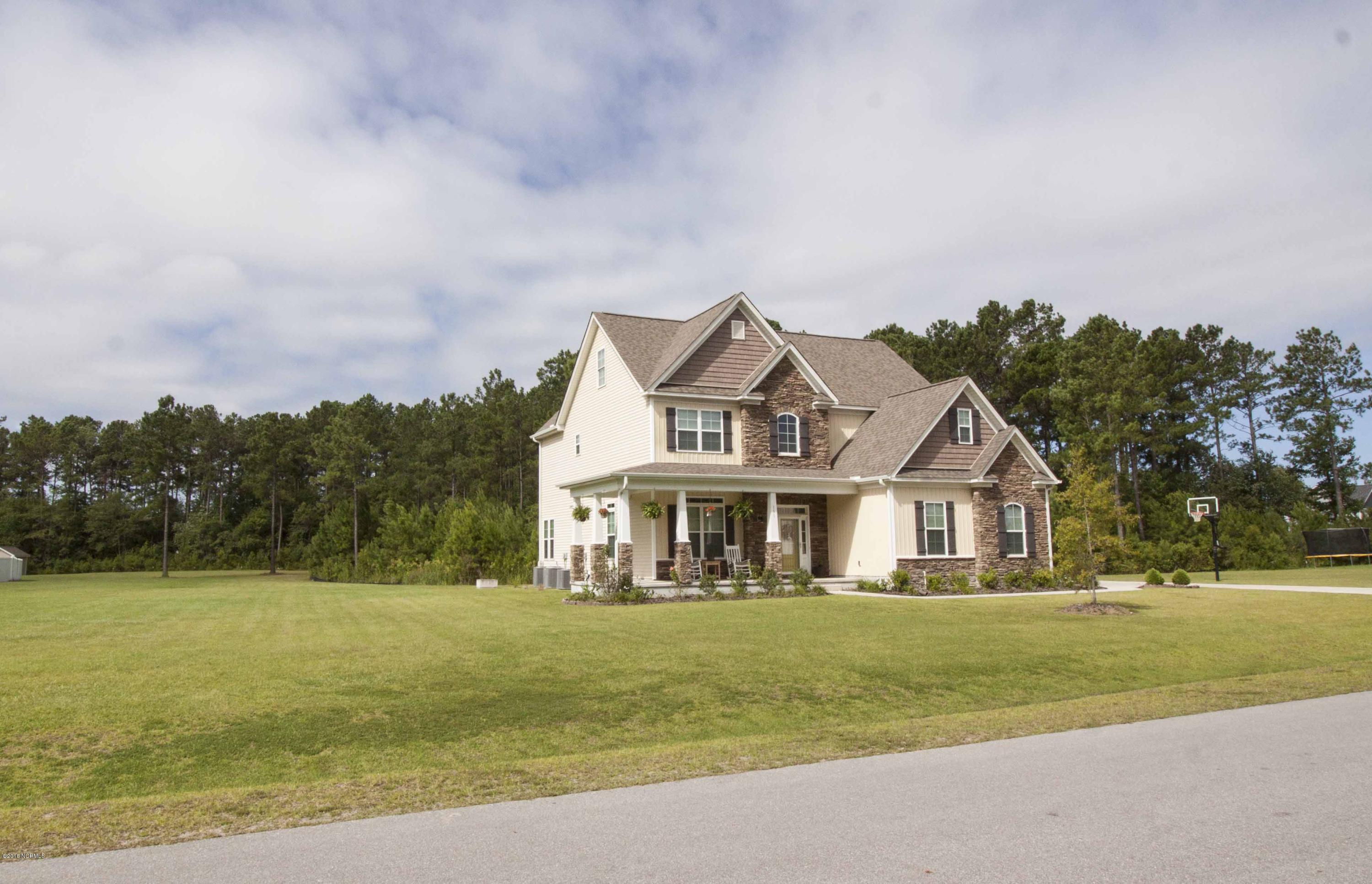 151 Peytons Ridge Drive Hubert, NC 28539 - Photo 3 of 51 pr3