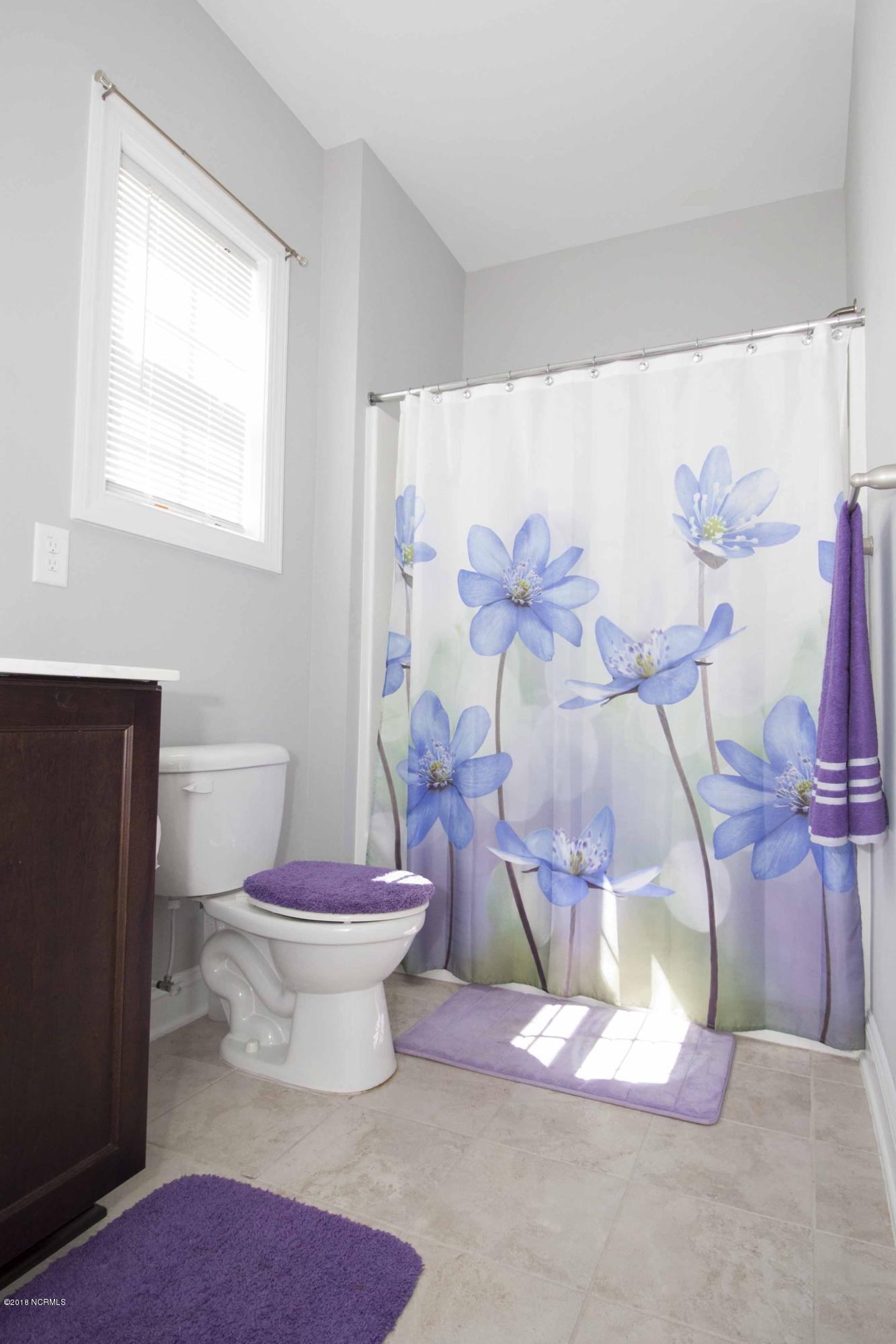 151 Peytons Ridge Drive Hubert, NC 28539 - Photo 45 of 51 pr44