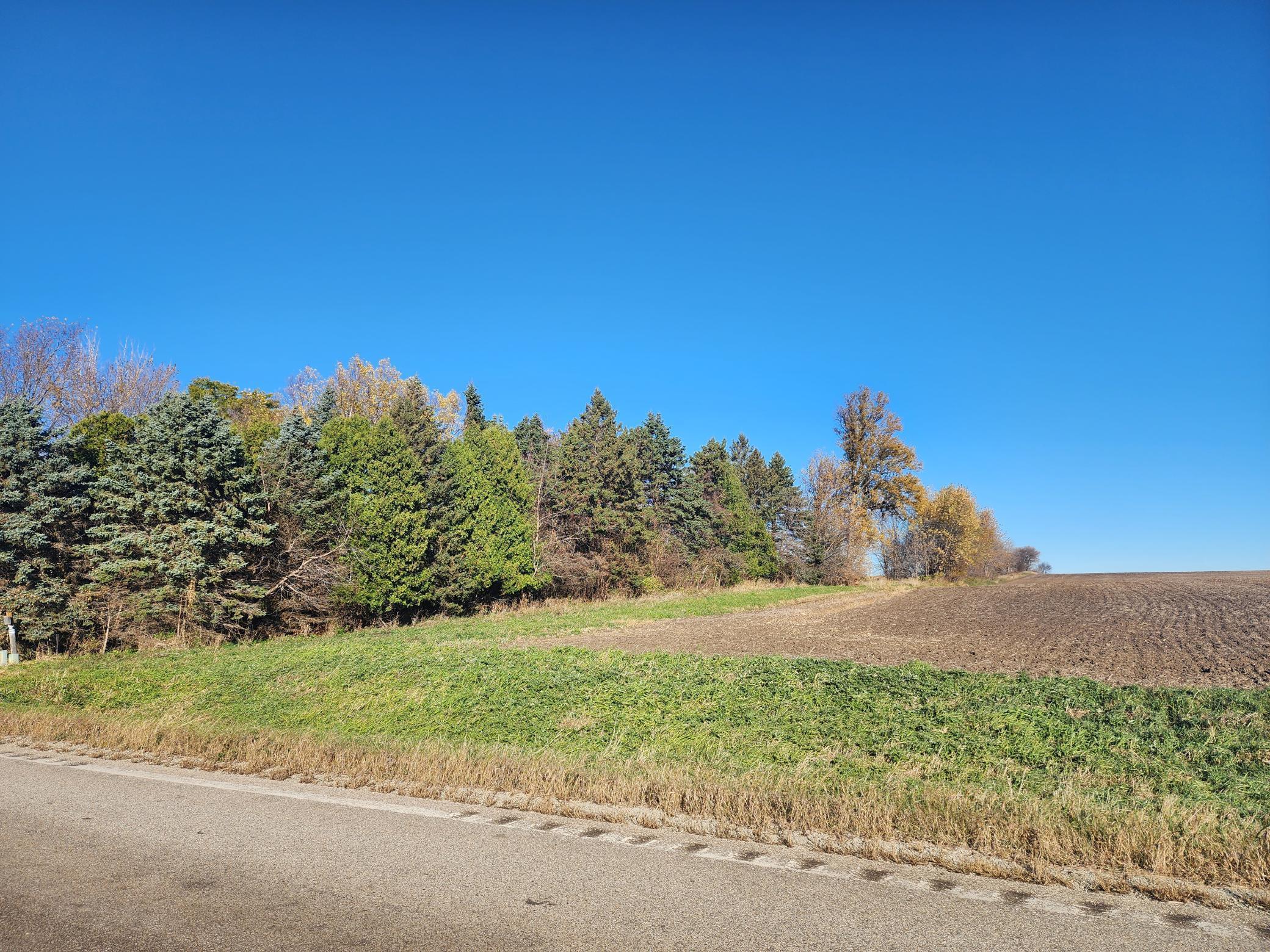 23466 710th Street Hayfield, MN 55940 - Photo 21 of 26