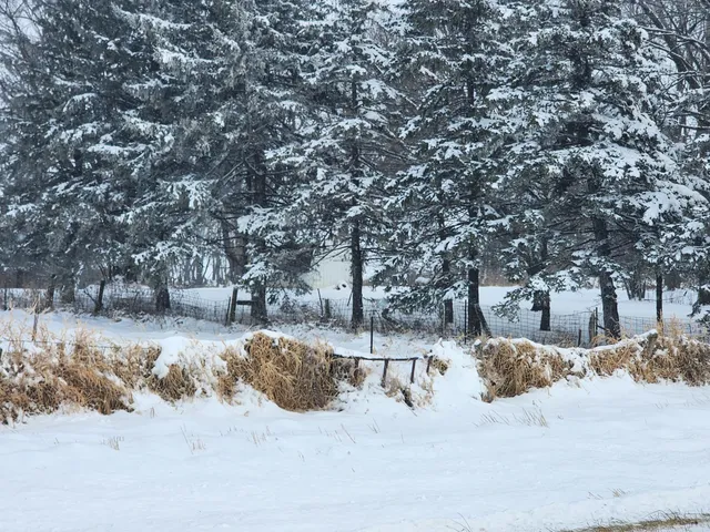 $274,900 | 23466 710th Street, Hayfield, MN 55940