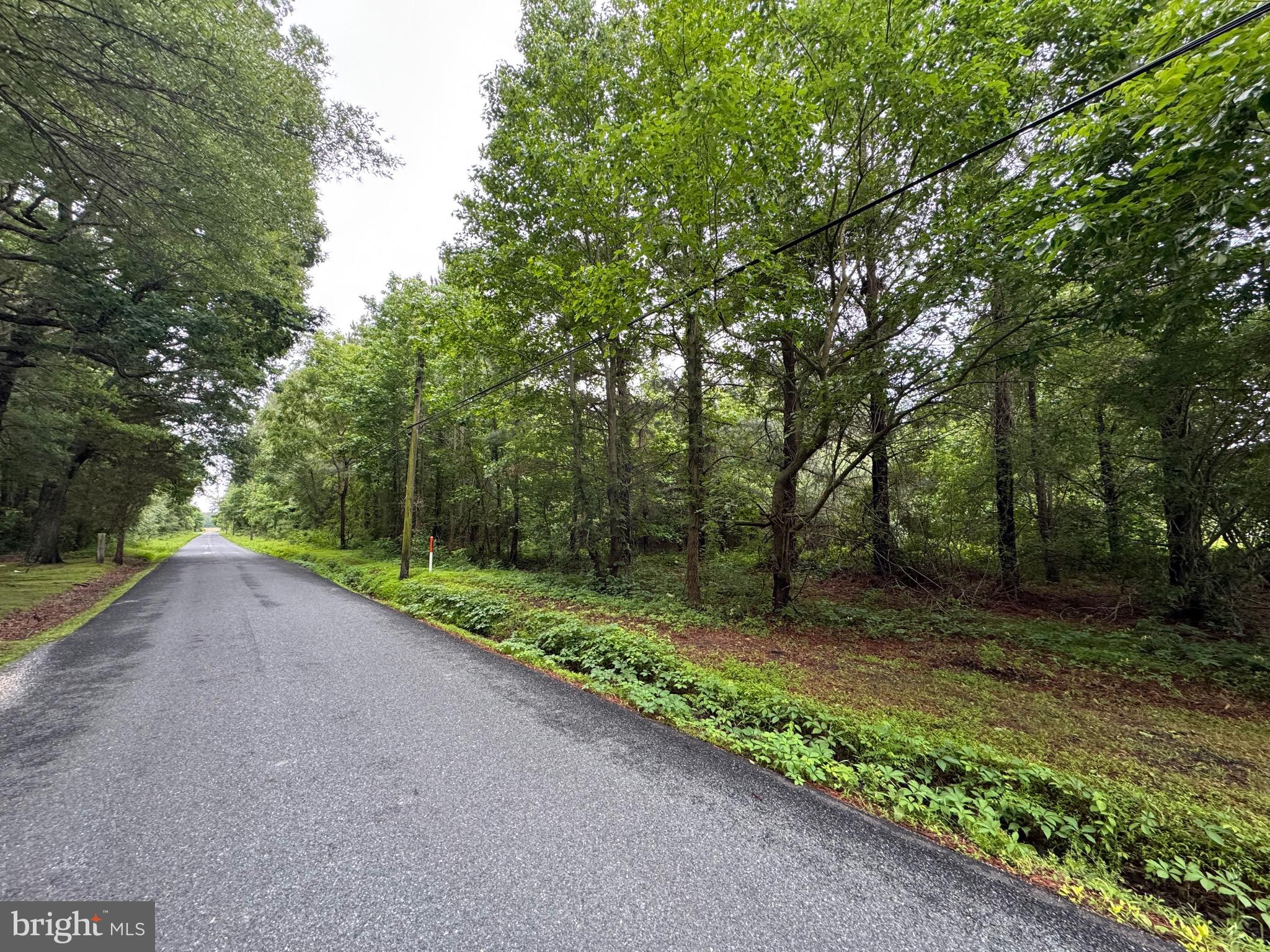 Chancellor Point Road Trappe, MD 21673 - Photo 3 of 6 Gallery Image 3