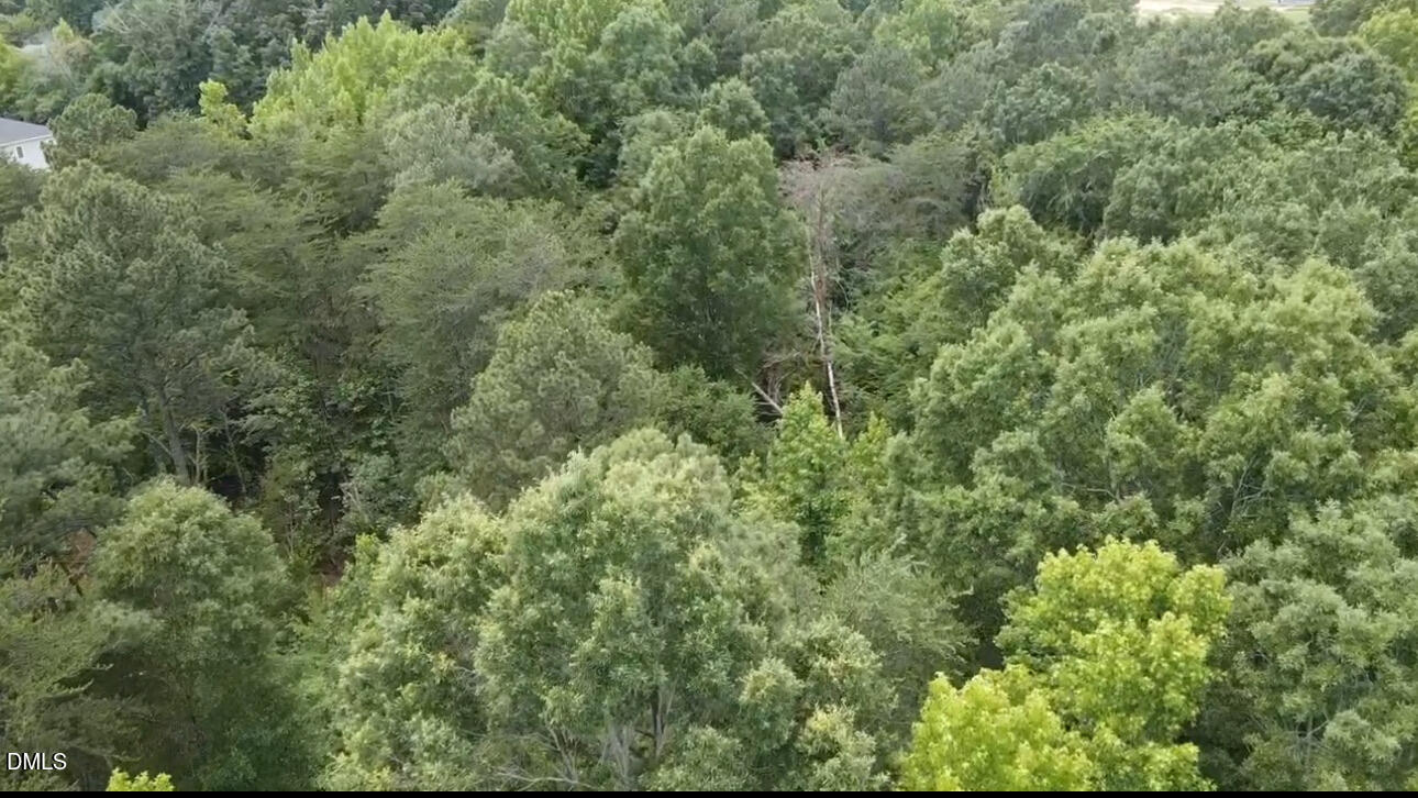 0 Baldwin Road Burlington, NC 27217 - Photo 11 of 11 IMG_2823