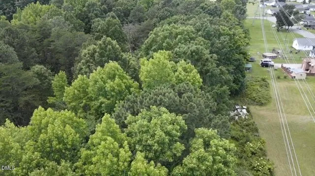 an aerial view of residential houses with outdoor space and trees