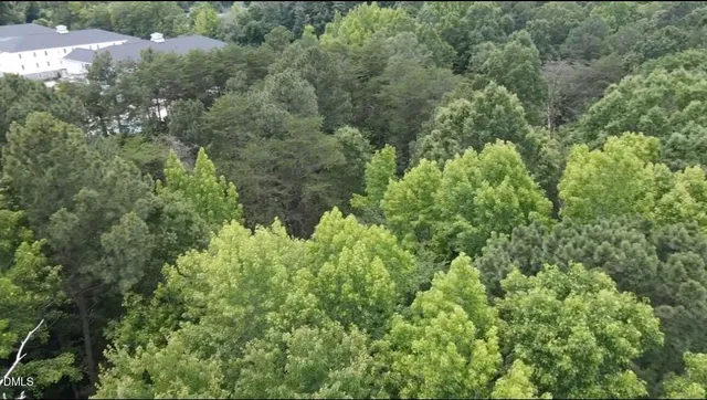 a view of a forest with a park