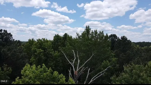 a view of a city with lush green forest