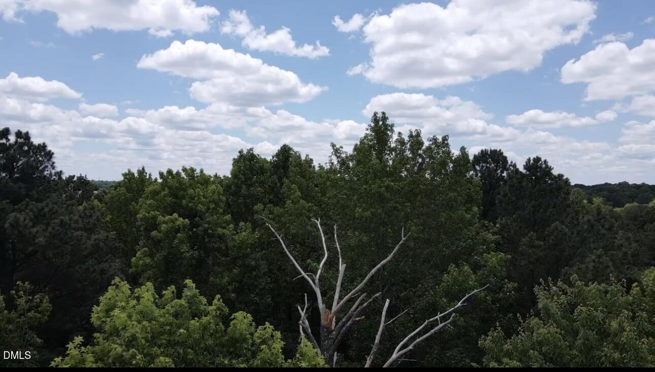 0 Baldwin Road Burlington, NC 27217 - Photo 7 of 11 IMG_2819