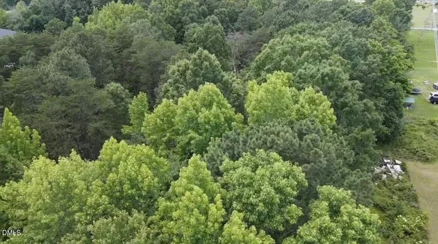 a view of a forest with a park