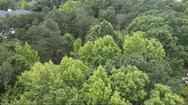 an aerial view of yard with outdoor seating and trees