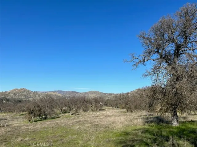 a view of mountain with trees in the background