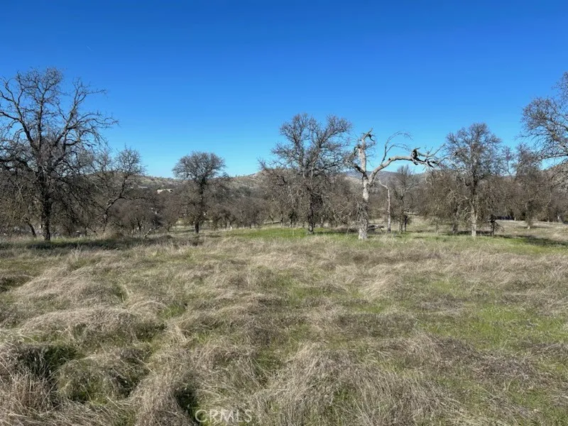 5 El Toro Road Hollister, CA 95023 - Photo 4 of 6 a view of outdoor space and yard