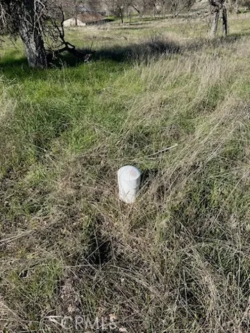 5 El Toro Road Hollister, CA 95023 - Photo 6 of 6 a view of a lake with a yard