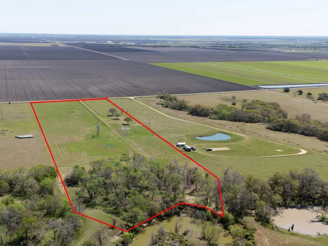 a view of yard with trees