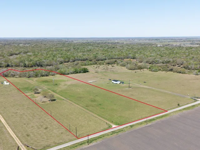 a big yard with lots of green space and plants