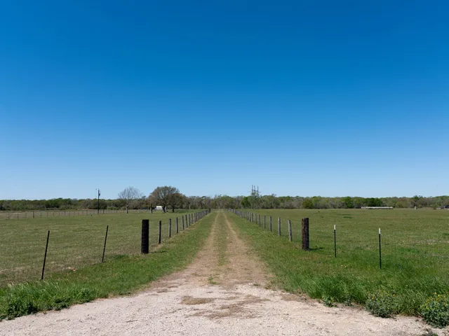 a view of a yard with large tree