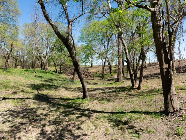 $315,000 | 1389 County Road 436, Bay City, TX 77414