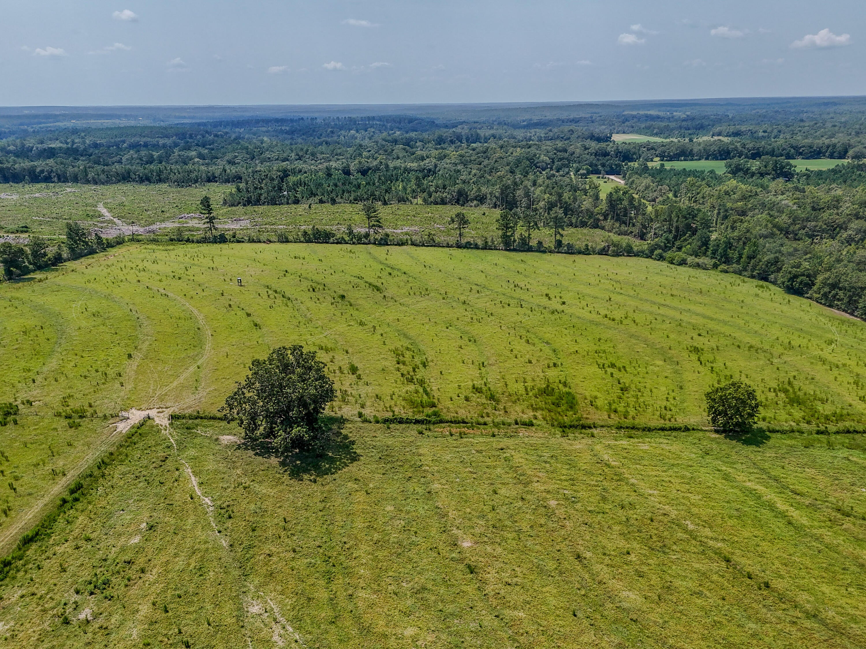 3957 Gopher Ridge Road Samson, AL 36477 - Photo 2 of 25 Gallery Image 2