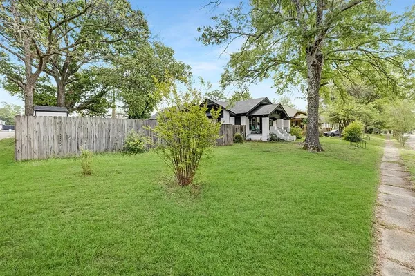 a view of a garden with a tree