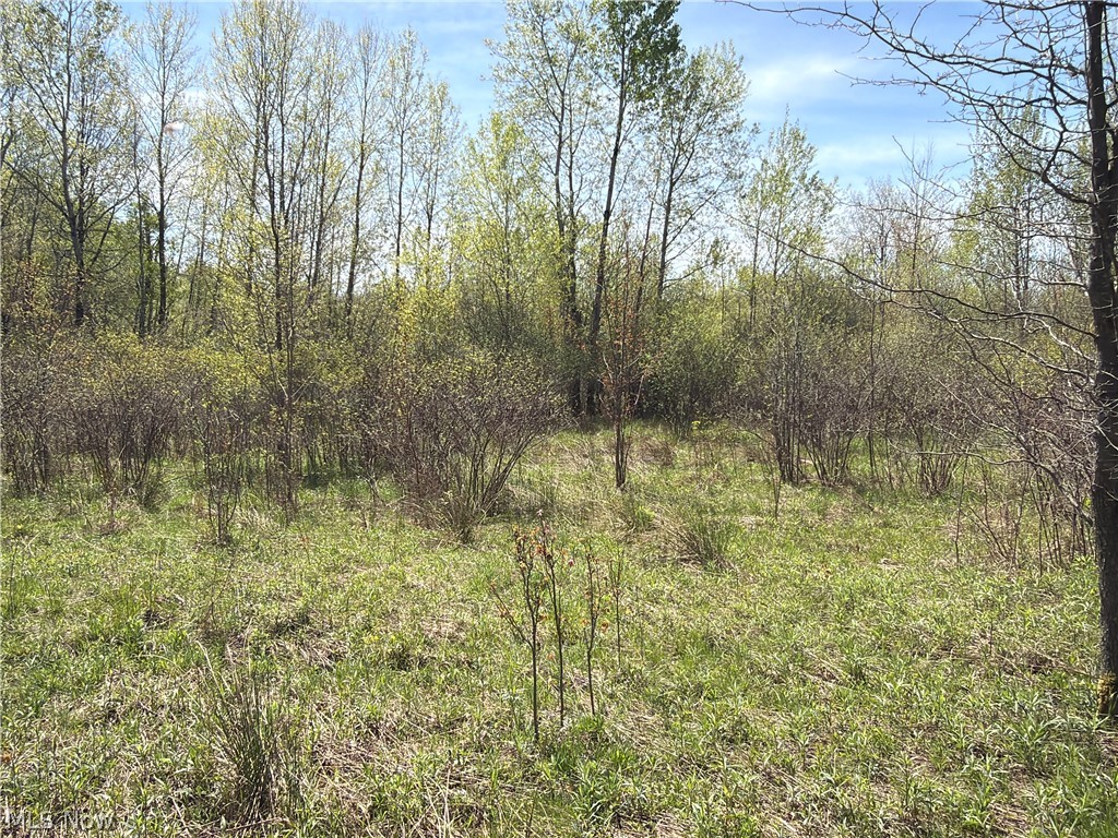California Road Williamsfield, OH 44093 - Photo 25 of 39