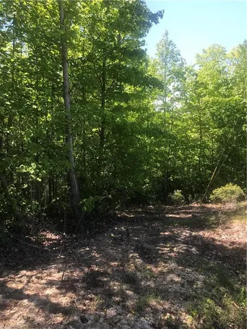 $54,900 | 19-26 Rosebrier Road, Boomer, NC 28606