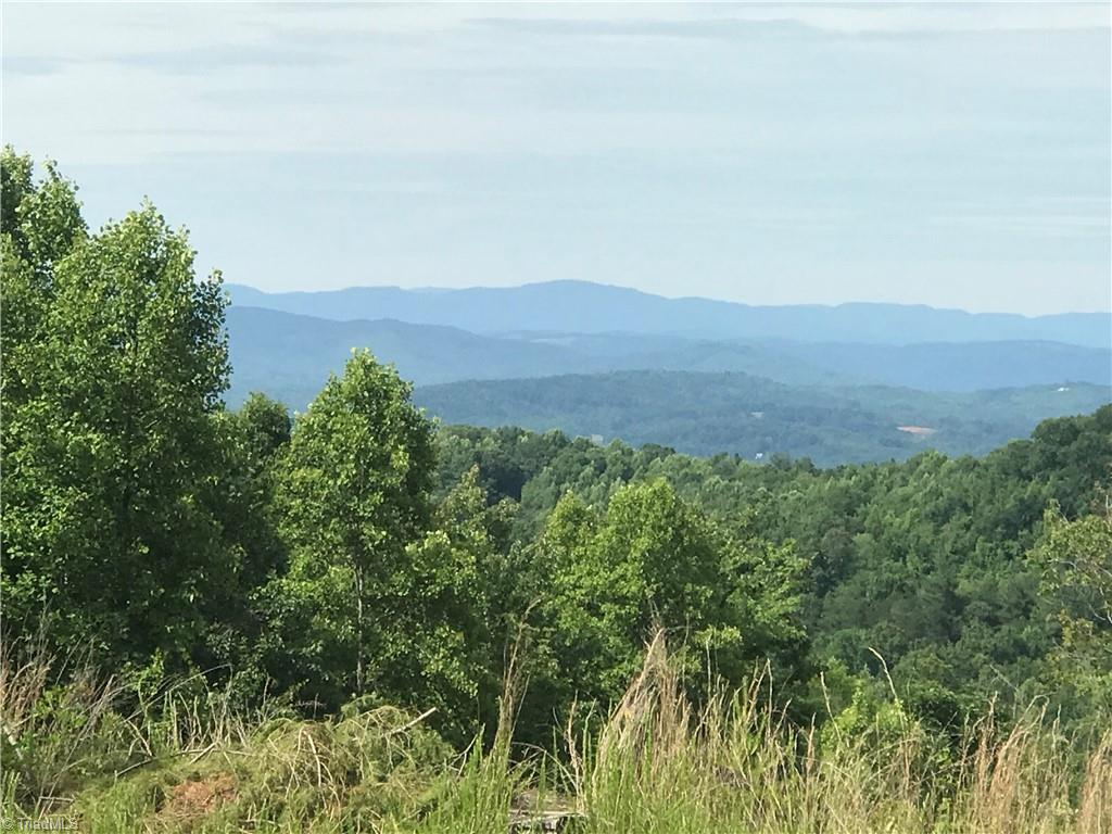 19-26 Rosebrier Road Boomer, NC 28606 - Photo 22 of 33 View Across the Street