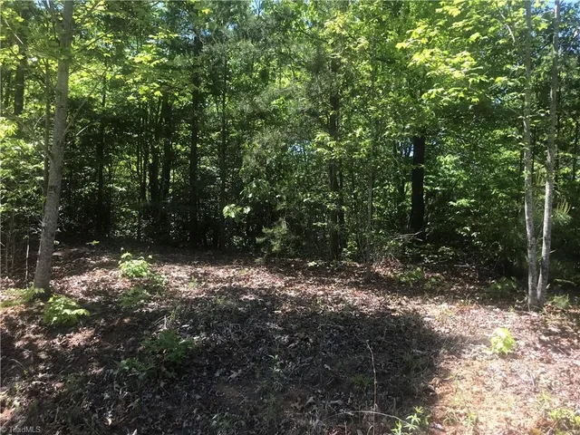 $54,900 | 19-26 Rosebrier Road, Boomer, NC 28606