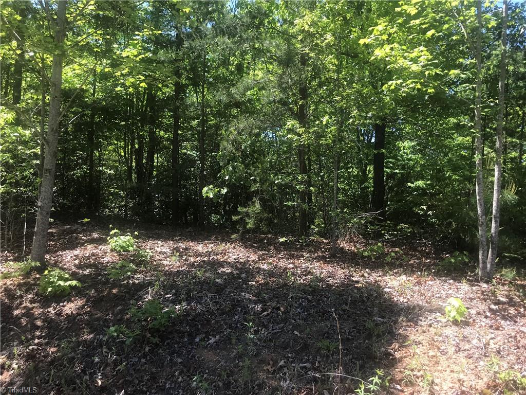 19-26 Rosebrier Road Boomer, NC 28606 - Photo 27 of 33 Gallery Image 27