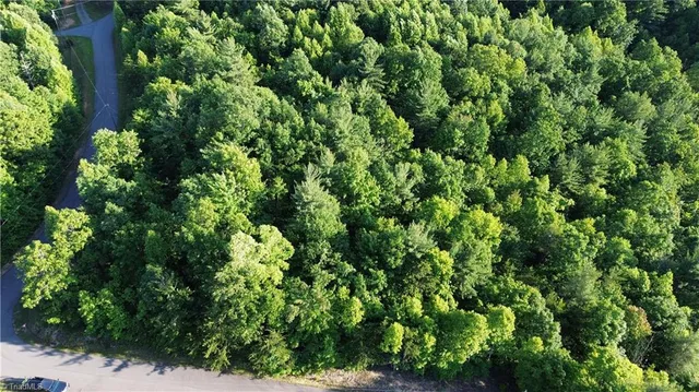 $54,900 | 19-26 Rosebrier Road, Boomer, NC 28606