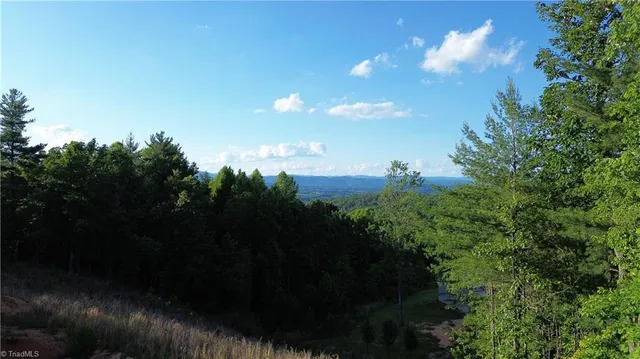 $54,900 | 19-26 Rosebrier Road, Boomer, NC 28606